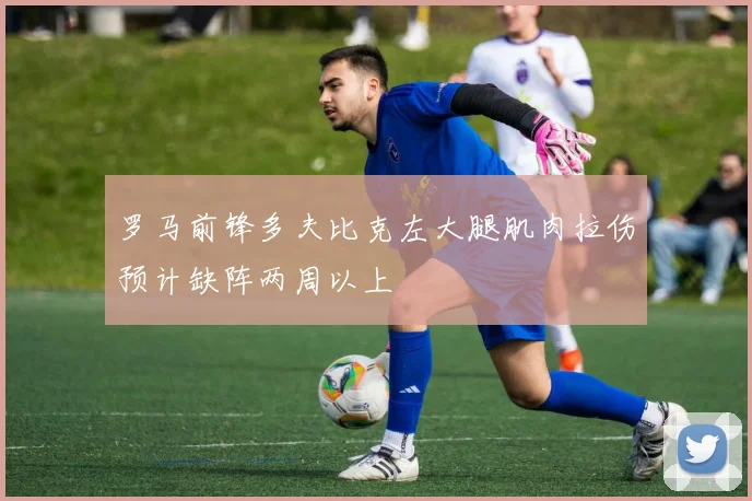 罗马前锋多夫比克左大腿肌肉拉伤预计缺阵两周以上