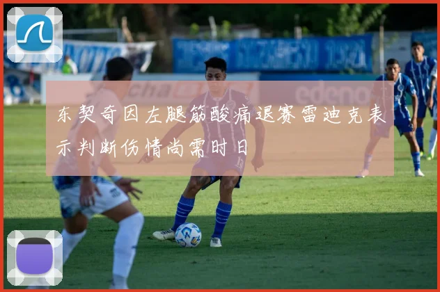 东契奇因左腿筋酸痛退赛雷迪克表示判断伤情尚需时日