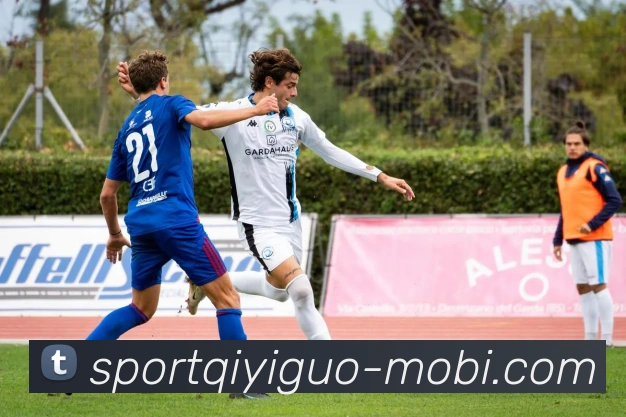 App Interface Preview